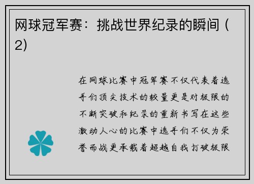 网球冠军赛：挑战世界纪录的瞬间 (2)